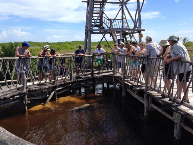laguna de cocodrilos